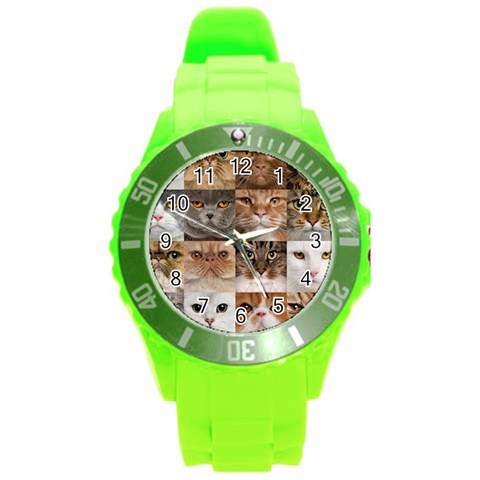 Breeds Of Cats Collage Round Plastic Sport Watch (L) from ArtsNow.com Front