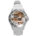 Breeds Of Cats Collage Round Plastic Sport Watch (L)