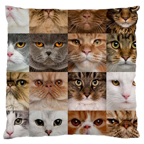 Breeds Of Cats Collage Large Cushion Case (Two Sides) from ArtsNow.com Front