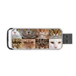 Breeds Of Cats Collage Portable USB Flash (One Side)