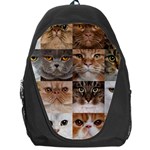 Breeds Of Cats Collage Backpack Bag