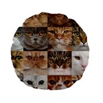 Breeds Of Cats Collage Standard 15  Premium Round Cushions