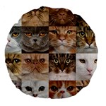 Breeds Of Cats Collage Large 18  Premium Round Cushions