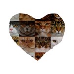 Breeds Of Cats Collage Standard 16  Premium Heart Shape Cushions