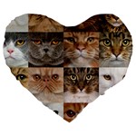 Breeds Of Cats Collage Large 19  Premium Heart Shape Cushions