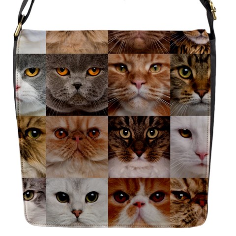 Breeds Of Cats Collage Flap Closure Messenger Bag (S) from ArtsNow.com Front