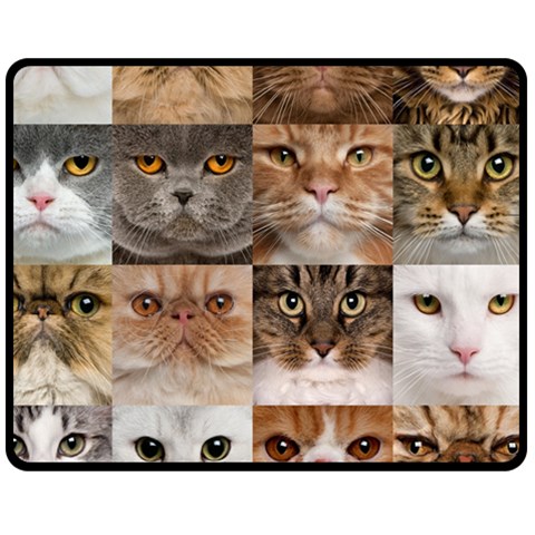 Breeds Of Cats Collage Two Sides Fleece Blanket (Medium) from ArtsNow.com 58.8 x47.4  Blanket Front