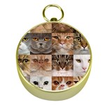 Breeds Of Cats Collage Gold Compasses