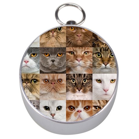 Breeds Of Cats Collage Silver Compasses from ArtsNow.com Front