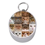 Breeds Of Cats Collage Mini Silver Compasses