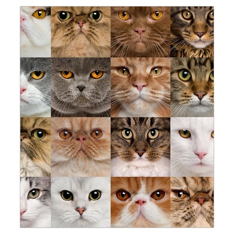 Breeds Of Cats Collage Drawstring Pouch (Small) from ArtsNow.com Back