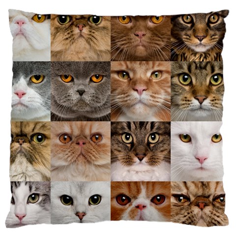 Breeds Of Cats Collage Standard Premium Plush Fleece Cushion Case (One Side) from ArtsNow.com Front