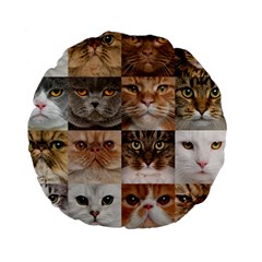 Breeds Of Cats Collage Standard 15  Premium Flano Round Cushions from ArtsNow.com Front