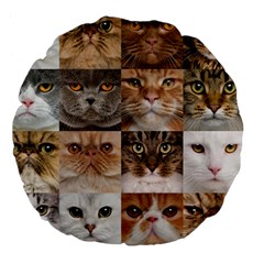 Breeds Of Cats Collage Large 18  Premium Flano Round Cushions from ArtsNow.com Front