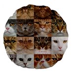 Breeds Of Cats Collage Large 18  Premium Flano Round Cushions