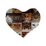 Breeds Of Cats Collage Standard 16  Premium Flano Heart Shape Cushions