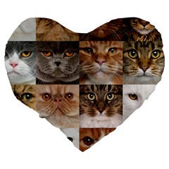 Breeds Of Cats Collage Large 19  Premium Flano Heart Shape Cushions from ArtsNow.com Back