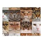 Breeds Of Cats Collage Two Sides Premium Plush Fleece Blanket (Mini)