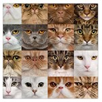 Breeds Of Cats Collage Square Satin Scarf (36  x 36 )