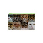 Breeds Of Cats Collage Cosmetic Bag (XS)