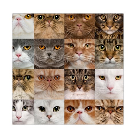 Breeds Of Cats Collage Duvet Cover Double Side (Full/ Double Size) from ArtsNow.com Front