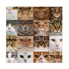 Breeds Of Cats Collage Duvet Cover Double Side (Full/ Double Size) from ArtsNow.com Front