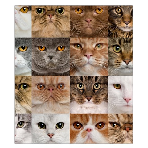 Breeds Of Cats Collage Duvet Cover Double Side (California King Size) from ArtsNow.com Front