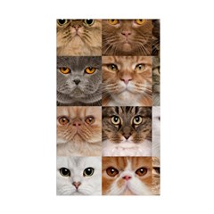 Breeds Of Cats Collage Duvet Cover Double Side (Single Size) from ArtsNow.com Front