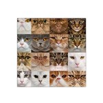 Breeds Of Cats Collage Satin Bandana Scarf 22  x 22 