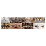 Breeds Of Cats Collage Oblong Satin Scarf (16  x 60 )