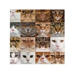 Breeds Of Cats Collage Square Satin Scarf (30  x 30 )