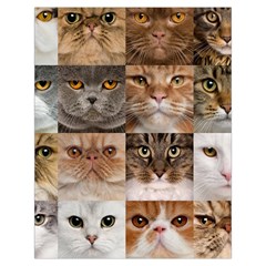 Breeds Of Cats Collage Toiletries Pouch from ArtsNow.com Back