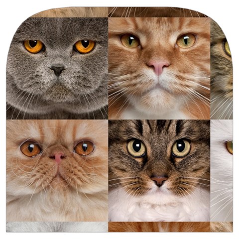 Breeds Of Cats Collage Toiletries Pouch from ArtsNow.com Cover