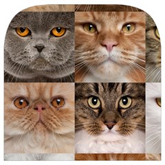 Breeds Of Cats Collage Toiletries Pouch from ArtsNow.com Cover