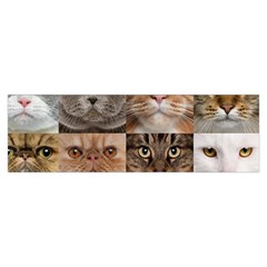 Breeds Of Cats Collage Toiletries Pouch from ArtsNow.com Hand Strap