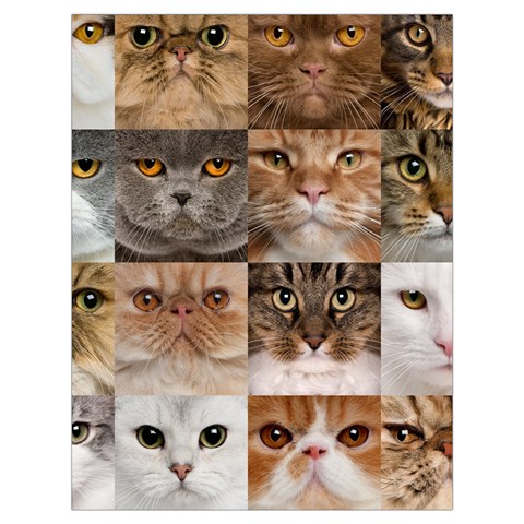 Breeds Of Cats Collage Drawstring Bag (Large) from ArtsNow.com Front