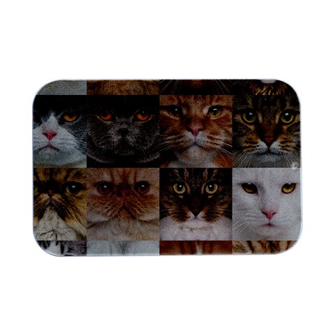 Breeds Of Cats Collage Open Lid Metal Box (Silver)   from ArtsNow.com Front