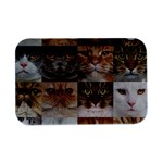 Breeds Of Cats Collage Open Lid Metal Box (Silver)  