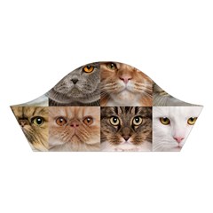 Breeds Of Cats Collage Cotton Crop Top from ArtsNow.com Left Sleeve