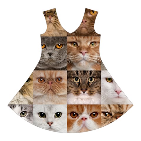 Breeds Of Cats Collage Short Sleeve V Front