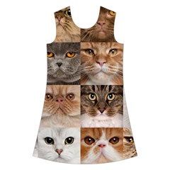 Breeds Of Cats Collage Kids  Short Sleeve Velvet Dress from ArtsNow.com Front