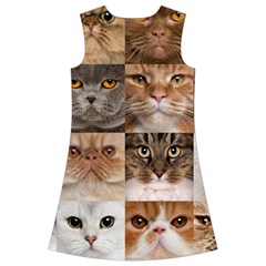 Breeds Of Cats Collage Kids  Short Sleeve Velvet Dress from ArtsNow.com Back