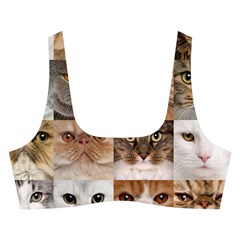 Breeds Of Cats Collage Cross Back Hipster Bikini Set from ArtsNow.com Front