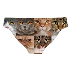 Breeds Of Cats Collage Cross Back Hipster Bikini Set from ArtsNow.com Back Under