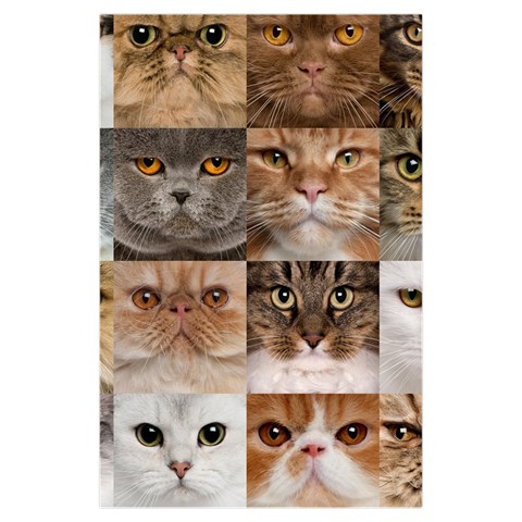 Breeds Of Cats Collage Kids  Hooded Rain Ponchos from ArtsNow.com Front