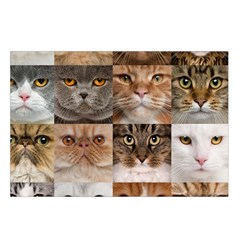 Breeds Of Cats Collage Belt Pouch Bag (Large) from ArtsNow.com Loop