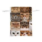 Breeds Of Cats Collage Lightweight Drawstring Pouch (S)