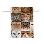 Breeds Of Cats Collage Lightweight Drawstring Pouch (L)