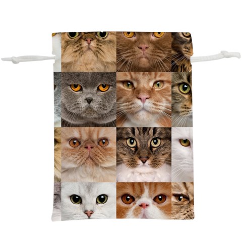 Breeds Of Cats Collage Lightweight Drawstring Pouch (XL) from ArtsNow.com Front