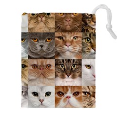 Breeds Of Cats Collage Drawstring Pouch (4XL) from ArtsNow.com Front